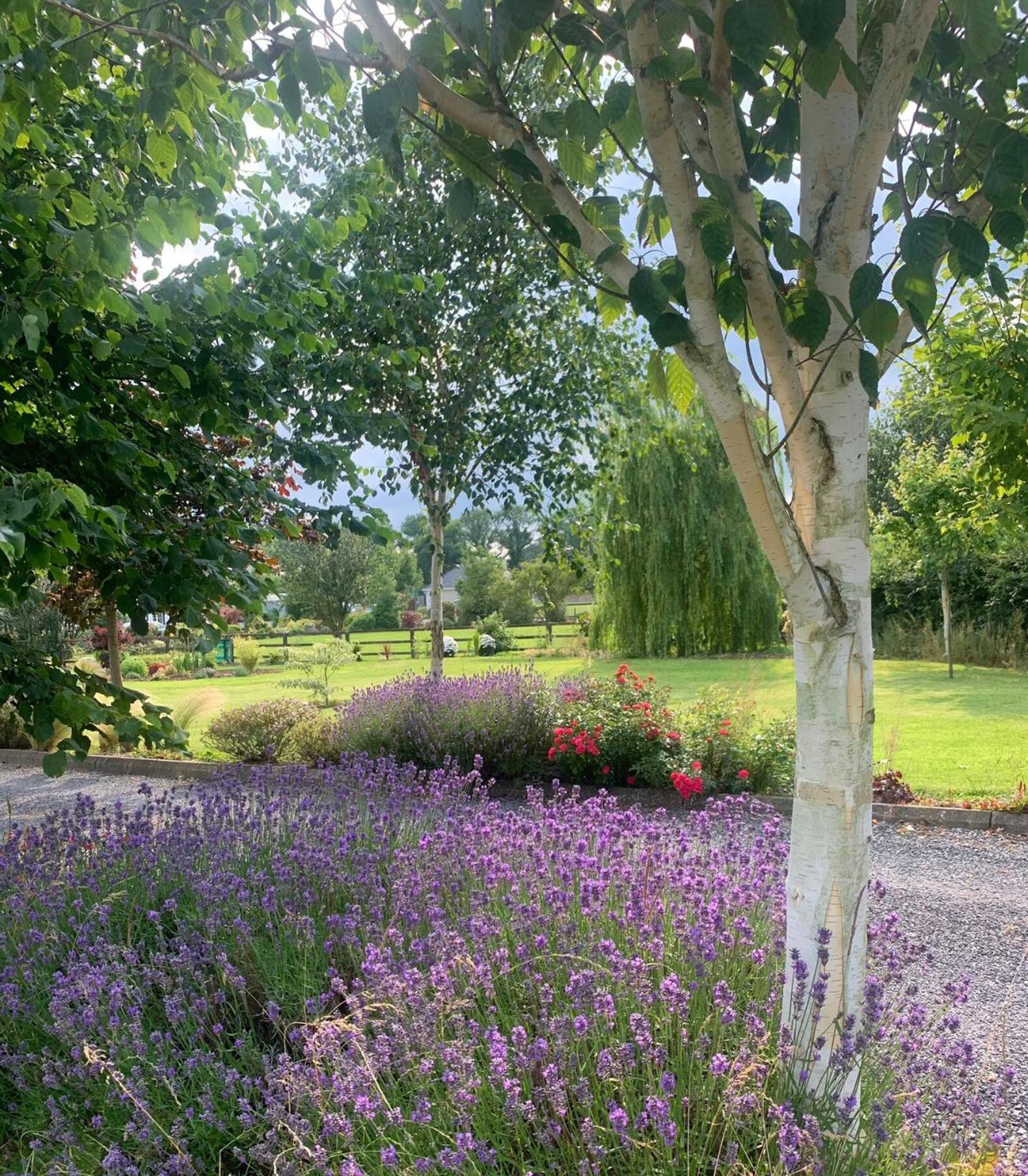Swallow'S Rest Garden Apartment Ashbourne Luaran gambar