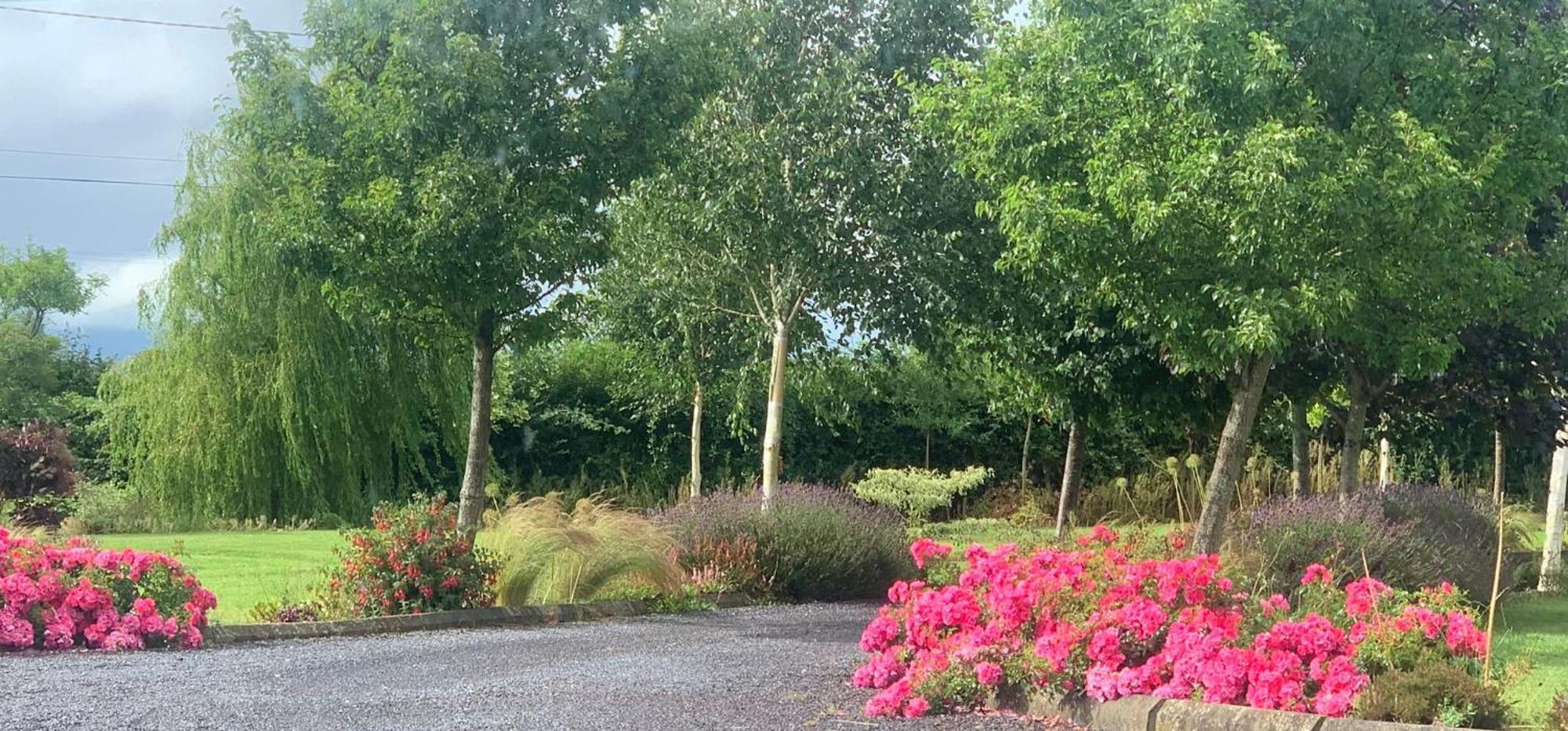 Swallow'S Rest Garden Apartment Ashbourne Luaran gambar