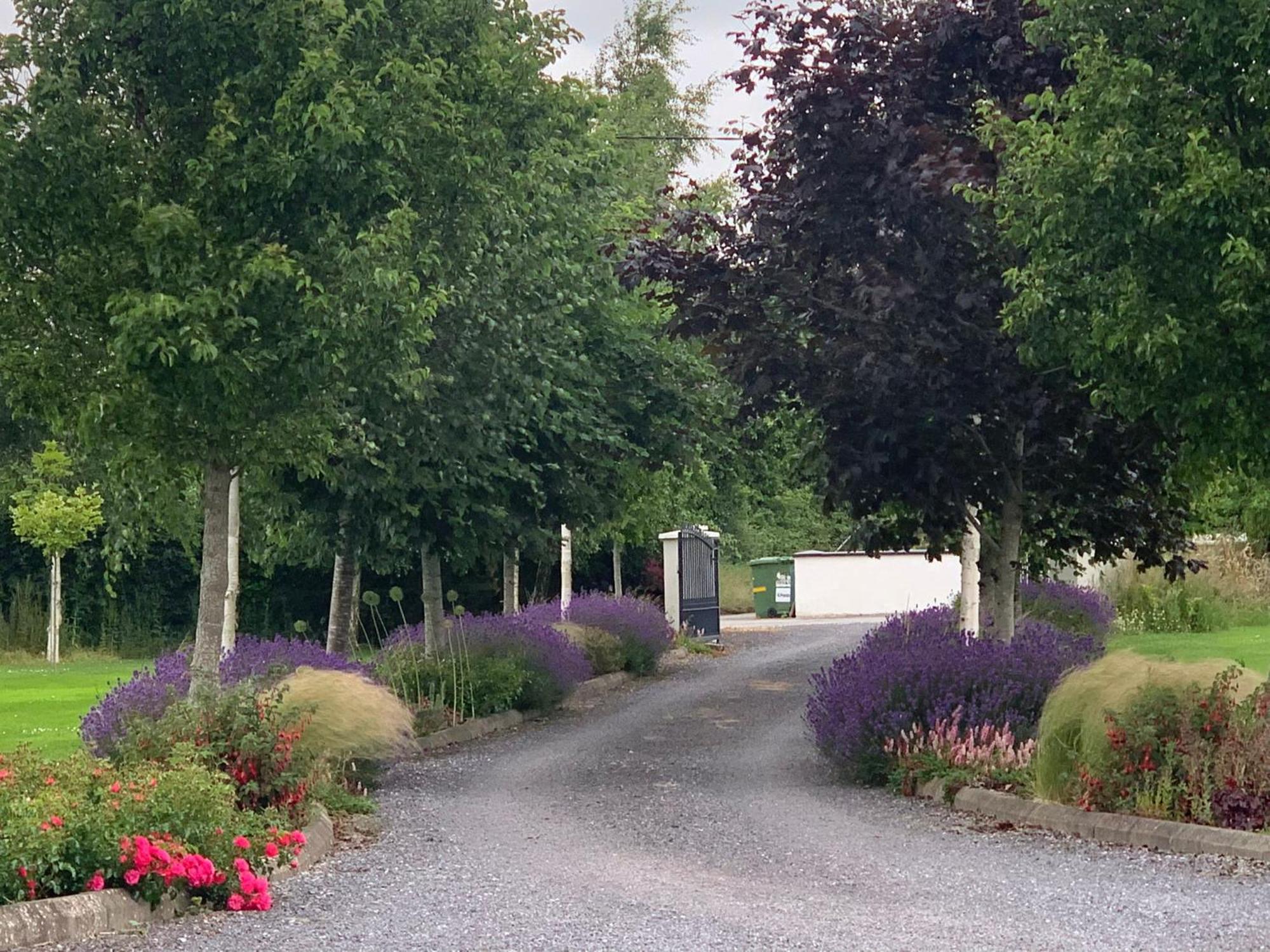 Swallow'S Rest Garden Apartment Ashbourne Luaran gambar